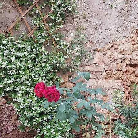 بيت للعطل Kalliston House With A Yard *